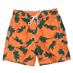 Orange Green Dinosaur Print Big Boys Medium Swim Trunks Swimwear Lined Shorts